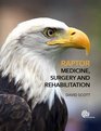 Raptor Medicine Surgery and Rehabilitation