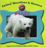 Animal Questions and Answers  Bears