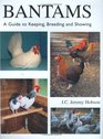 Bantams: A Guide to Keeping, Breeding and Showing