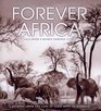 Forever Africa A Journey from the Cape of Good Hope to Morocco