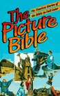 Picture Bible Story Book Edition