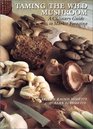 Taming the Wild Mushroom A Culinary Guide to Market Foraging