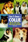 Guide to Owning a Collie Puppy Care Health Feeding Training Showing Breed Standard