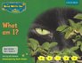 Read Write Inc Phonics Nonfiction Set 1  What am I