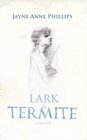 Lark  Termite