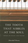 The Tooth That Nibbles at the Soul Essays on Music and Poetry