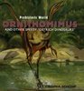 Ornithomimus And Other Speedy ostrich Dinosaurs