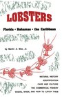 Lobsters Florida Bahamas and the Caribbean