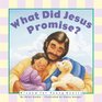 What Did Jesus Promise (Board Book)