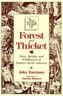 The Book of Forest and Thicket: Trees, Shrubs, and Wildflowers of Eastern North America