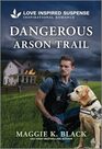 Dangerous Arson Trail (Unsolved Case Files, 3)