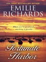 Fortunate Harbor (Happiness Key Novel)