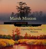 Marsh Mission Capturing The Vanishing Wetlands