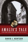 Amalia's Tale A Poor Peasant an Ambitious Attorney and a Fight for Justice