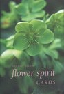 Flower Spirit Cards