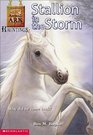 Stallion In The Storm  (Animal Ark Hauntings, Bk 1)
