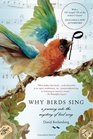 Why Birds Sing A Journey into the Mystery of Bird Song