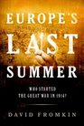 Europe's Last Summer  Who Started the Great War in 1914