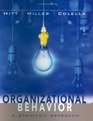 Organizational Behavior A Strategic Approach