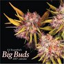 Ed Rosenthal's Marijuana Big Buds 2007 Calendar