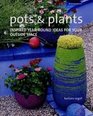 Pots  Plants YearRound Colour in Your Garden