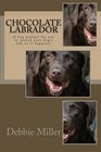 Chocolate Labrador A dog journal for you to record your dog's life as it happens