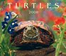 Turtles 2008