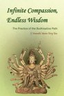 Infinite Compassion Endless Wisdom The Practice of the Bodhisattva Path