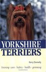 Yorkshire Terriers