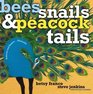 Bees Snails  Peacock Tails Patterns  Shapes    Naturally