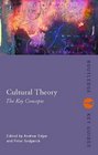 Cultural Theory The Key Concepts