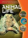 Animal Life