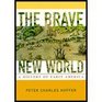The Brave New World A History of Early America