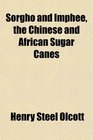 Sorgho and Imphee the Chinese and African Sugar Canes