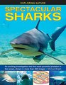Exploring Nature Spectacular Sharks An Exciting Investigation Into The Most Powerful Predator In The Ocean Shown In More Than 200 Images