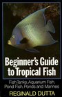 Beginner's Guide to Tropical Fish