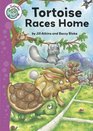 Tortoise's Race Home