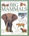 Big Mammals  The Illustrated Wildlife Encyclopedia