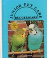 Budgerigars (Junior Pet Care)