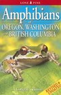 Amphibians of Oregon, Washington And British Columbia: A Field Identification Guide (Lone Pine Field Guides)