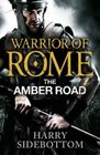 The Amber Road (Warrior of Rome, Bk 5)
