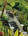 Tropical Gardens: 42 Dream Gardens by Leading Landscape Designers in the Philippines