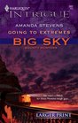 Going To Extremes (Harlequin Intrigue, No 862) (Larger Print)