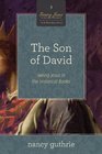 The Son of David  Seeing Jesus in the Historical Books