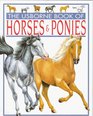 The Usborne Book of Horses  Ponies