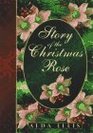 Story of the Christmas Rose Remembrance of Times Past