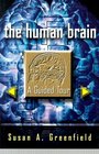 The Human Brain A Guided Tour