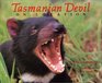 Tasmanian Devil On Location