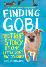 Finding Gobi The True Story of One Little Dog's Big Journey