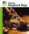 German Shepherd Dogs